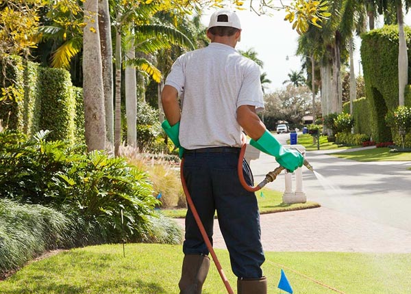 About Blue Island IL Pest Control